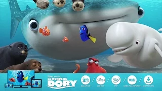 Le Monde de Dory - Avec vous partout, dès aujourd'hui !