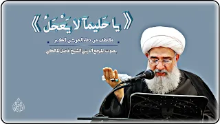 مقتطف من دعاء الجوشن الكبير المرجع الديني الشيخ فاضل المالكي  مقتطف من دعاء الجوشن الكبير المرجع الديني الشيخ فاضل المالكي