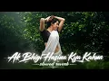Ak Bhigi Hasina Kya Kahna | Slowed x Reverb | 90s hindi romantic song | lyrics video 