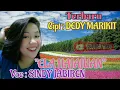 Download Lagu Lagu dayak kalteng\