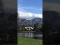 感恩节的早晨
