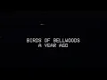 Download Lagu Birds of Bellwoods - A Year Ago (Official Video)