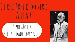 A pulsão e a sexualidade infantil - Curso Freud do Zero: Aula 6