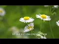 'profundo amor de Jesus' - Hillside Recording, Christian Singleton, Cether