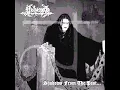 Nehëmah - Call from the grave (Cover)