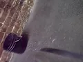 blanks pull and press