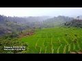 Download Lagu suasana indah pedesaan pagi hari | suara kokok ayam dan kicauan burung | sjrc f11s 4k pro footage