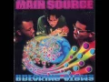 Main Source - Live at the Barbeque (feat.  Nas, Joe Fatal, Akinyele)