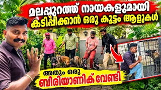 എല്ലാം സംശയത്തിന്റെ നിഴലിൽ.എന്തൊക്കെയോ ദുരൂഹതകൾ.. Dog challenge..