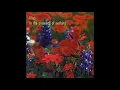 lilys - Tone Bender
