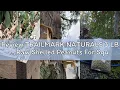 Review TRAILMARK NATURALS 3 LB - Raw Shelled Peanuts For Squirrels Out of Shell Peanuts For Birds a