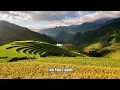 Andrez Babii - OMG Lyrics