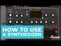 Synth Basics Everything You Need to Know