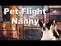 What is a Pet Flight Nanny