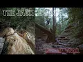 The HIDDEN GEM 5 minutes from Toowoomba Hiking the FERNTREE GULLY Trail
