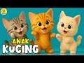 Lagu Lagu Anak Anak - ANAK KUCING MEONG MEONG, Sayang Semuanya - Kompilasi Lagu Anak \u0026 Balita Terbaru