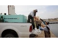 Fish Stocking - NDGNF