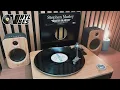 Stephen Marley ft. Damian & Julian Marley, Spragga Benz - Master Blaster @ReggaevilleVinylVibes #188