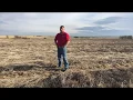 In the Field with Ag Valley Agronomy