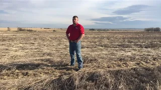 In the Field with Ag Valley Agronomy