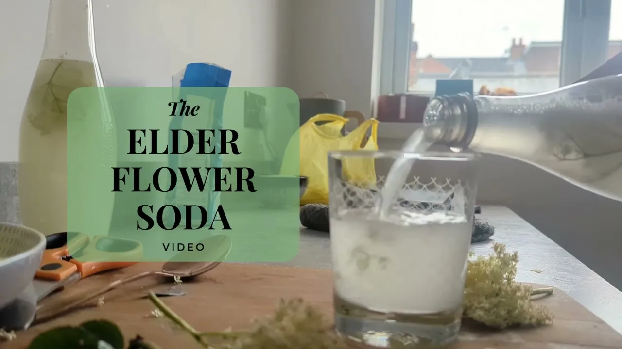 Elderflower Soda Recipe - A Natural, Homemade Refreshing Floral Fizz