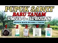 Download Lagu Pupuk Sawit Baru Tanam, Salah Perawatan menyesal seumur hidup !!!