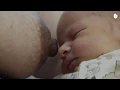 Download Lagu How to prevent and relieve engorged breasts | Breastfeeding