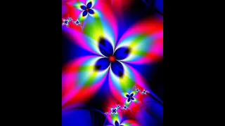 وردة شعوري ناحيتك 