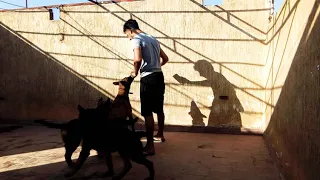 حياتي مع كلابي     الحياة   دندنها