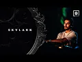 Download Lagu Skylark - Darkshire Church 2024 [FULL SET]