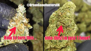 Is your bud the best or just beaten UK weed
