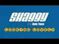 Shaggy feat. Robin Thicke - Looking Lovely | Official Audio