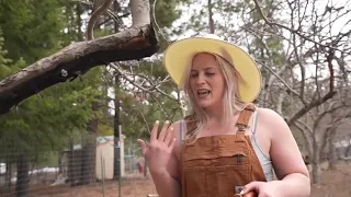 woman u0026 her dogs alone off grid paradise