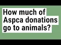 How much of Aspca donations go to animals