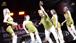 persi terbaru 2026 jangan tunggu lama2 opening blmusik live in cirarak sukajaya bogor