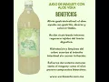 jugos de maguey y sus beneficios