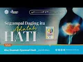 Download Lagu Segumpal Daging itu Adalah HATI - Ustadz Abu Usamah Syamsul Hadi Download Lagu Segumpal Daging itu Adalah HATI - Ustadz Abu Usamah Syamsul Hadi