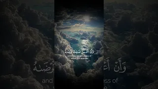 وقال ربي أوزعني أن اشكر نعمتك التي أنعمت علي وعلى والدي أحمد العجمي  وقال ربي أوزعني أن اشكر نعمتك التي أنعمت علي وعلى والدي أحمد العجمي