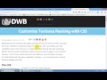 WordPress Theme Development - Batch Slower