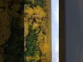 Download Lagu Views Dari Udara Keindahan Alam Hutan Kalimantan Timur Indonesia #kalimantan #shorts #drone