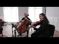 Barber - Adagio for Strings (Dover Quartet)