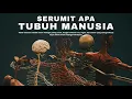 Download Lagu TUBUH MANUSIA ADALAH MESIN BIOLOGIS YANG MENAKJUBKAN