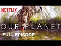 Download Lagu Our Planet | From Deserts to Grasslands | FULL EPISODE | Netflix