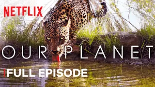Our Planet From Deserts to Grasslands FULL EPISODE Netflix