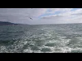 Trolled for Bonito on Our Way Back to the Docks on the Redondo Special