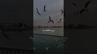 حاير بعدك ومحتار محمد عبد الجبار تصوير بغداد 