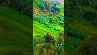 ወላይታ ሶዶ ወረዳ 