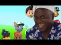 Download Lagu PAW Patrol |Match The Head #1 |Video For Kids |FHD