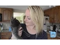 DIY Catsicles - Popsicles for Your Cats