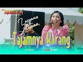 Download Lagu TAJAMNYA KARANG - LUSYANA JELITA | OM. ADELLA LIVE DUKUHTURI TEGAL